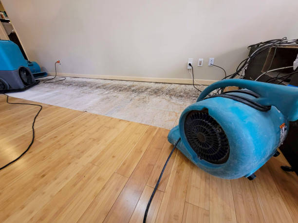 Professional Water Damage Repair technician working in Dresden, OH