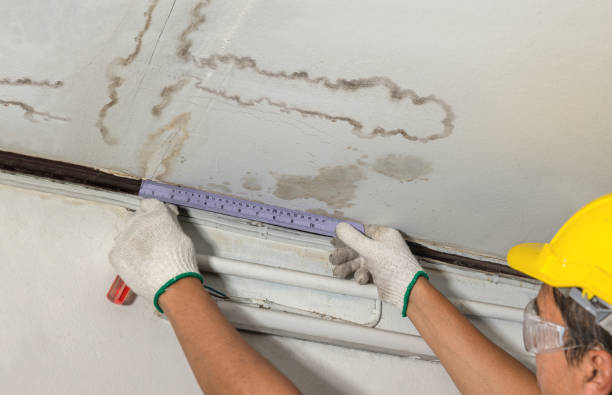 Affordable Water Damage Repair solutions in Dresden, OH